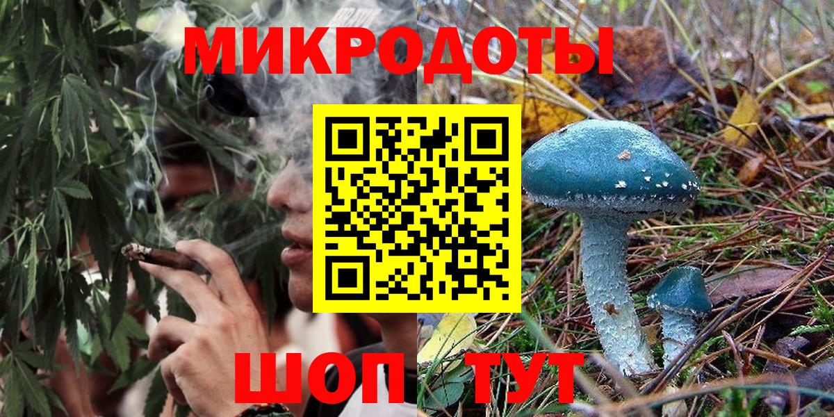 Обь  Псилоцибиновые грибы мицелий  цены   Вход с VPN 