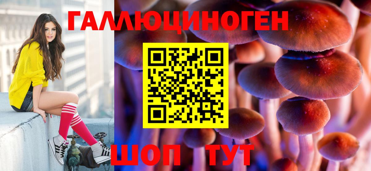 Псилоцибиновые грибы мицелий Обь